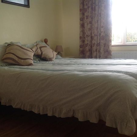 The Rock Equestrian Farm B&B Bailieborough Exterior photo